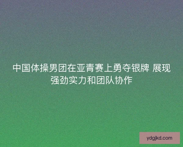 中国体操男团在亚青赛上勇夺银牌 展现强劲实力和团队协作